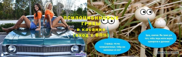 MESCALINE Вяземский